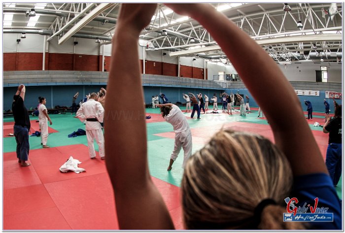 STAGE JUDO MADRID 14 00107